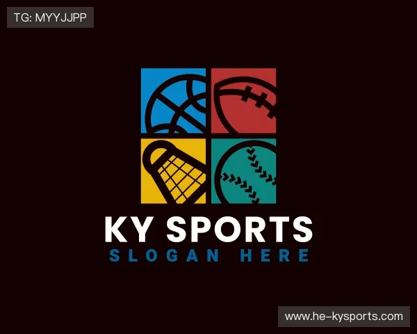 介绍开云电竞服务